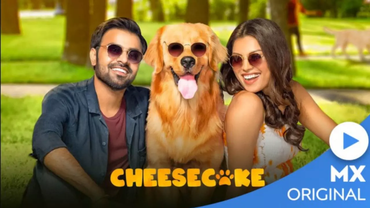 top Hindi web series Cheesecake