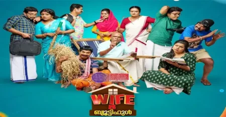 Wife Is Beautiful Serial Cast