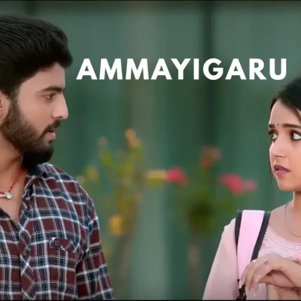 Ammayigaru serial cast