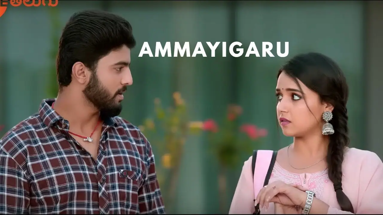 Ammayigaru serial cast