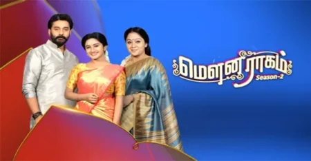 Mouna Raagam Season 2 Serial Cast