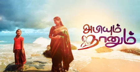 Abhiyum Naanum Serial Cast