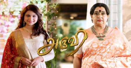 Aruvi Serial Cast