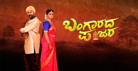 Bangarada Panjara Serial Cast