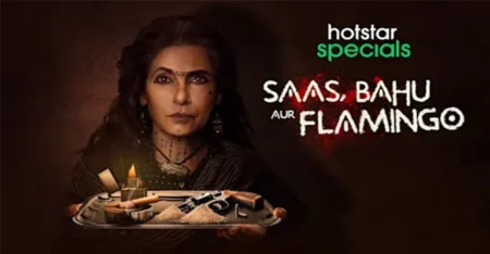 Saas Bahu Aur Flamingo Web Series Cast