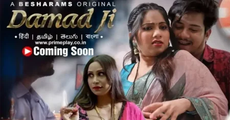 Damad Ji Web Series Cast