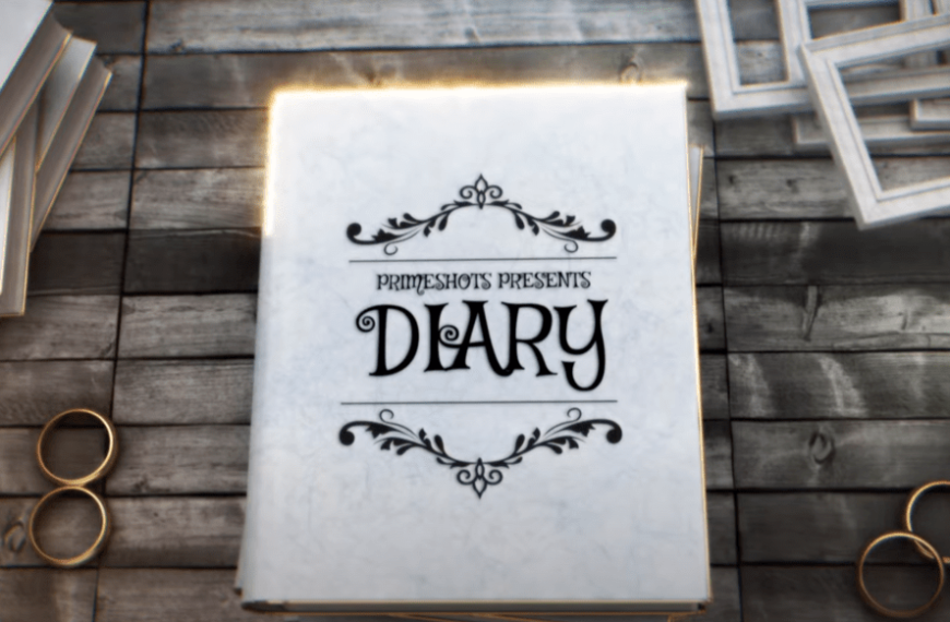 Diary primeshot series